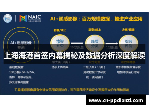 上海海港首签内幕揭秘及数据分析深度解读