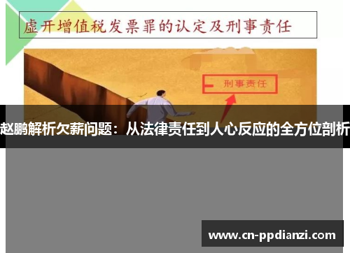 赵鹏解析欠薪问题：从法律责任到人心反应的全方位剖析