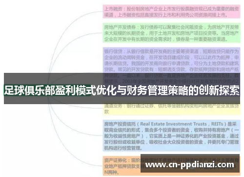 足球俱乐部盈利模式优化与财务管理策略的创新探索
